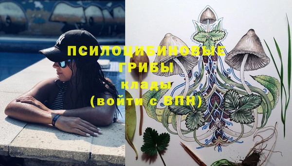 мет Алзамай