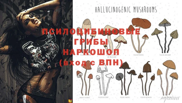 гашиш Аркадак