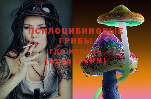 ешки Балахна