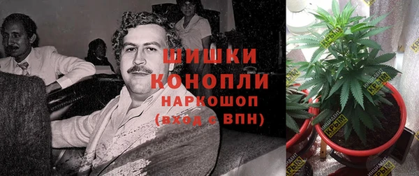 ешки Балахна