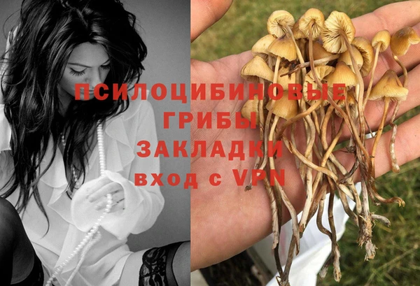 бутик Арсеньев