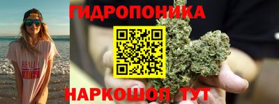 дживик Лесосибирск