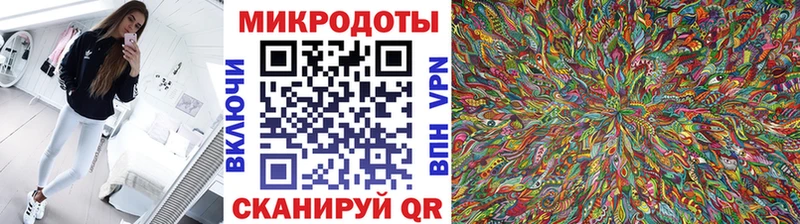 Галлюциногенные грибы GOLDEN TEACHER  где купить наркоту  Нарьян-Мар 