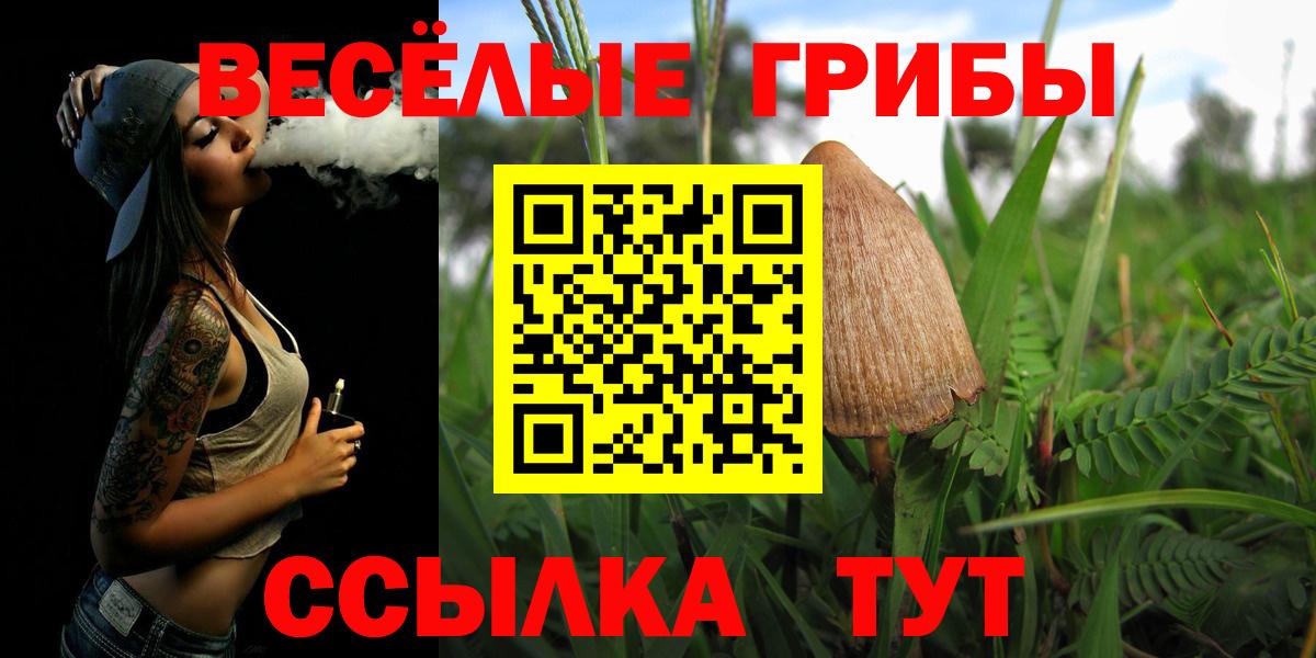 Псилоцибиновые грибы Cubensis  Вход с VPN  Нарьян-Мар 
